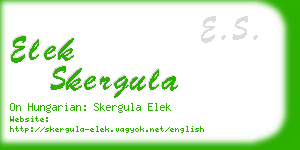 elek skergula business card